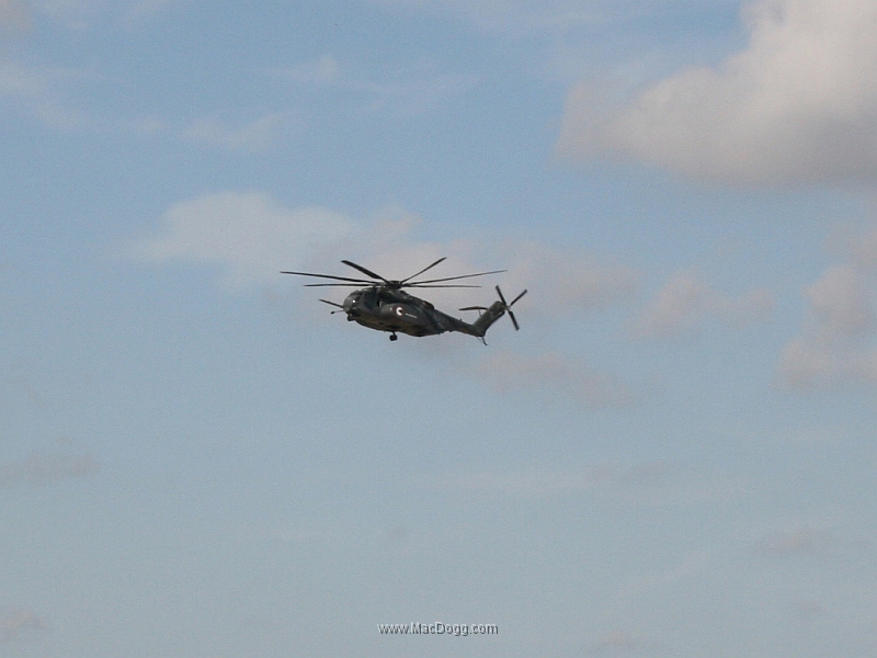IMG_5879a.JPG
