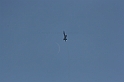 IMG_7607b