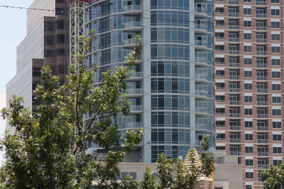 DPP_0021.JPG