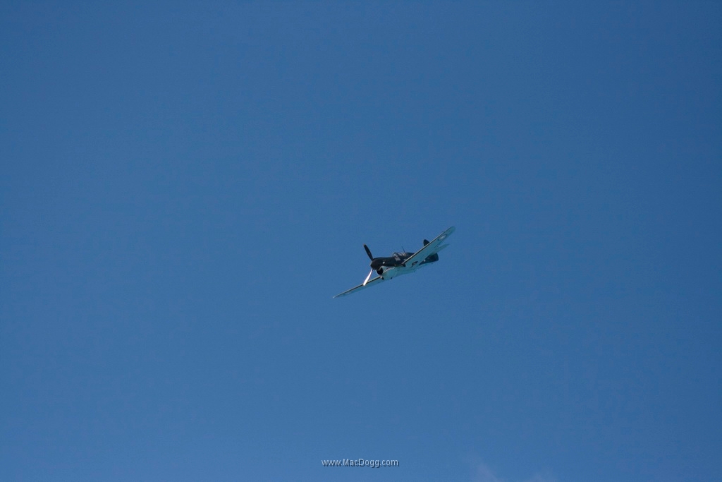 IMG_9085.jpg