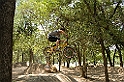 IMG_2806