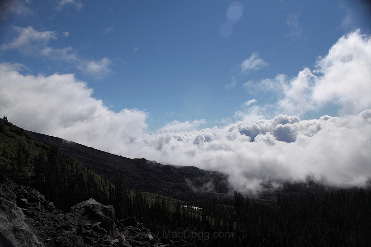 IMG_5610.JPG