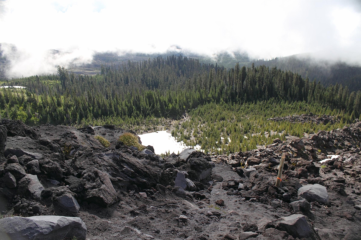 IMG_5613.JPG