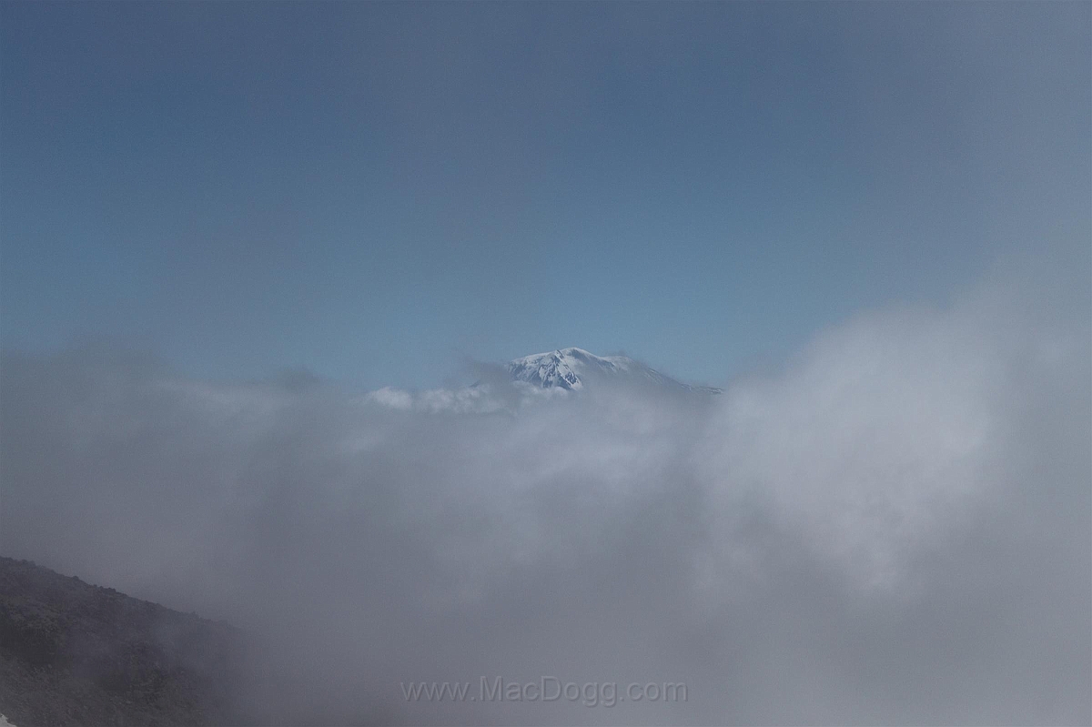 IMG_5640.JPG