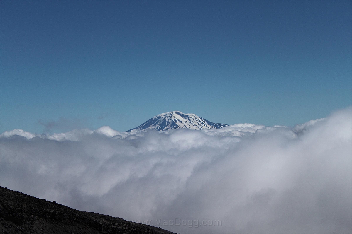IMG_5693.JPG