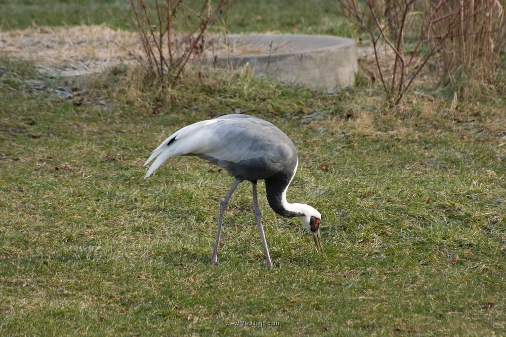 IMG_8859.jpg