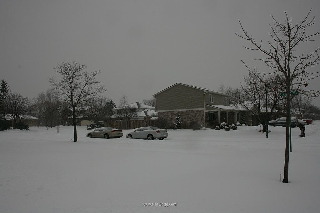 IMG_8749.JPG