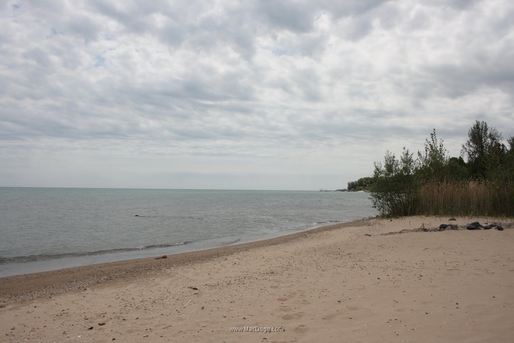 IMG_1431.JPG