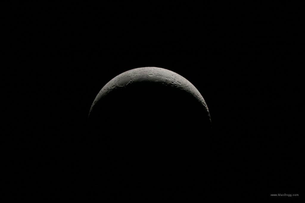 IMG_0018.jpg